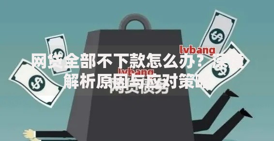网贷全部不下款怎么办？深度解析原因与应对策略