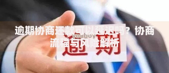逾期协商还款可以延迟吗？协商流程与风险解析