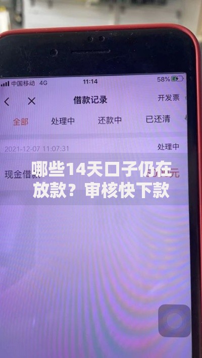 哪些14天口子仍在放款？审核快下款稳的短期平台解析