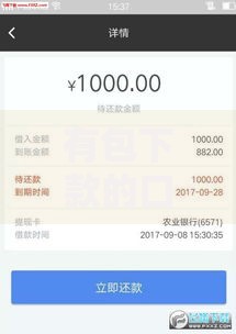 有包下款的口子吗？正规低息渠道全解析