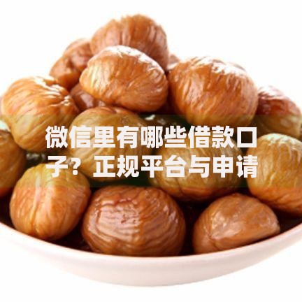 微信里有哪些借款口子？正规平台与申请流程全解析