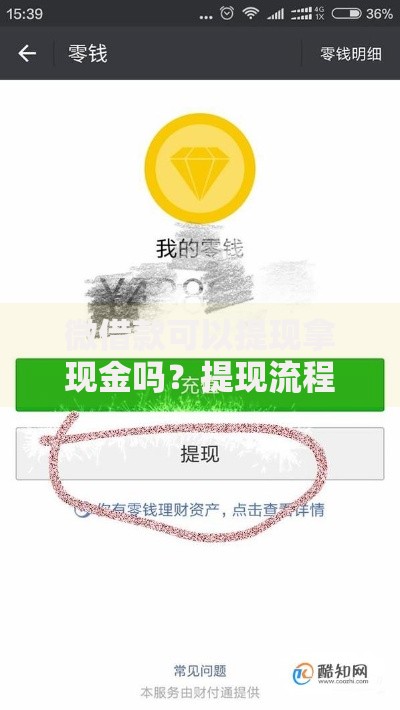 微借款可以提现拿现金吗？提现流程与注意事项解析