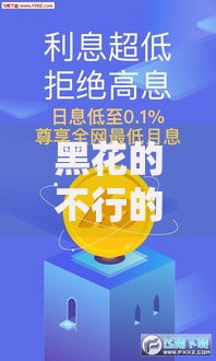 黑花的不行的借款口子有哪些风险？如何规避高息陷阱？