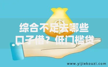 综合不足去哪些口子借？低门槛贷款渠道深度解析