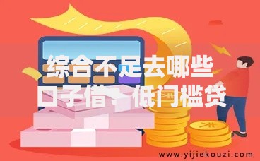 综合不足去哪些口子借？低门槛贷款渠道深度解析