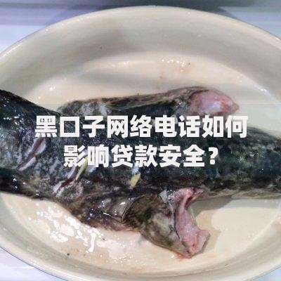 黑口子网络电话如何影响贷款安全？