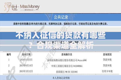 不纳入征信的贷款有哪些？合规渠道全解析