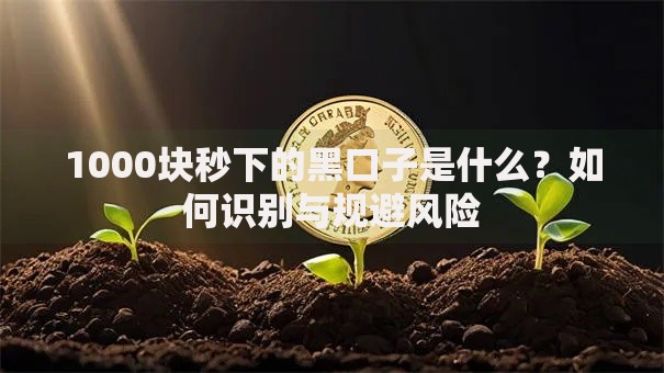 1000块秒下的黑口子是什么？如何识别与规避风险