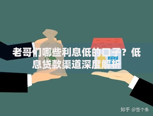 老哥们哪些利息低的口子？低息贷款渠道深度解析