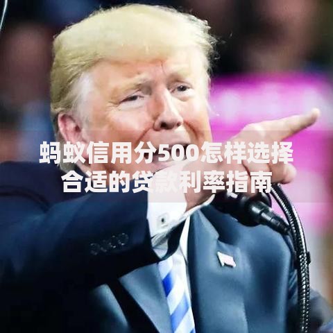 蚂蚁信用分500怎样选择合适的贷款利率指南