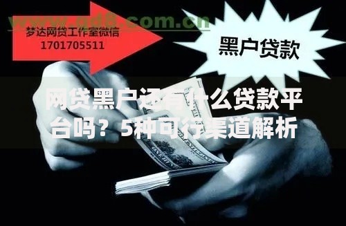 网贷黑户还有什么贷款平台吗？5种可行渠道解析