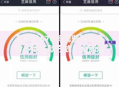 芝麻分670有哪些平台支持多种还款方式？全面解析