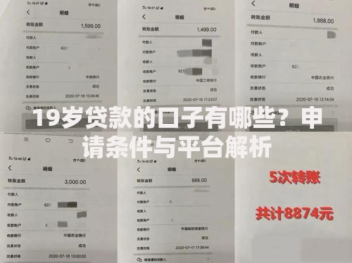 19岁贷款的口子有哪些？申请条件与平台解析