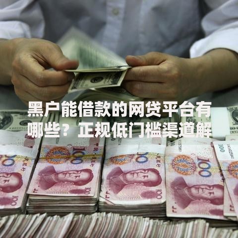 黑户能借款的网贷平台有哪些?正规低门槛渠道解析 黑户能借款的网贷平台有哪些?正规低门槛渠道解析