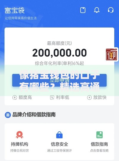 像猪宝钱包的口子有哪些？精选高通过率贷款平台推荐