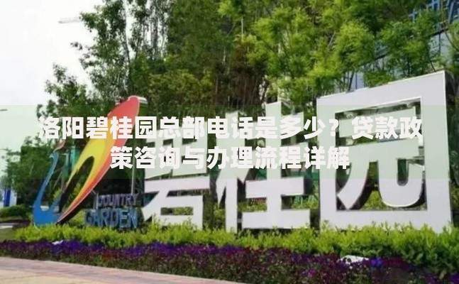 洛阳碧桂园总部电话是多少？贷款政策咨询与办理流程详解