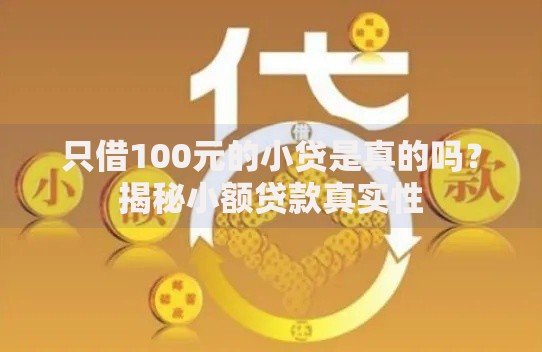 只借100元的小贷是真的吗？揭秘小额贷款真实性