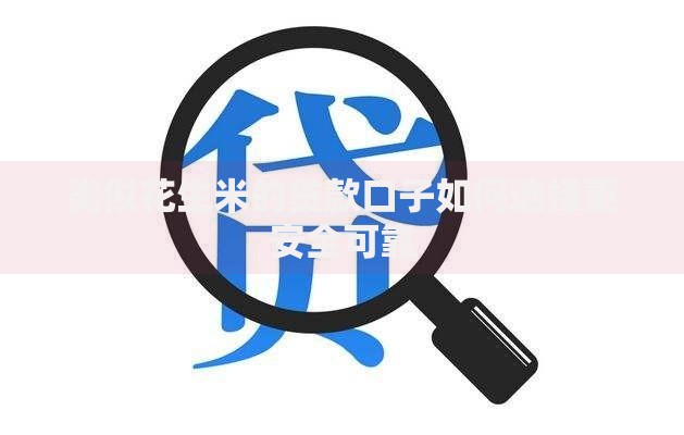 类似花生米的贷款口子如何选择更安全可靠