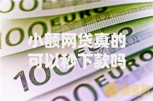 小额网贷真的可以秒下款吗？解析秒批背后的真相与风险