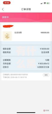有什么黑户也能批的网贷？深度解析申请攻略