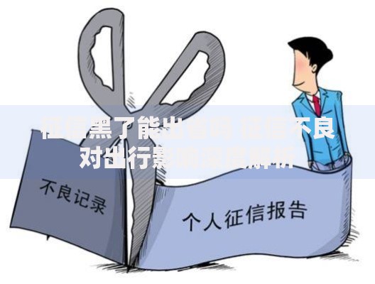 征信黑了能出省吗 征信不良对出行影响深度解析