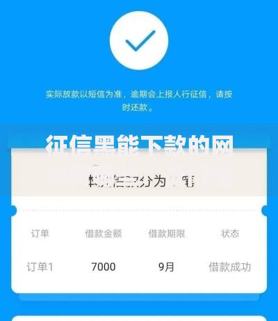 征信黑能下款的网贷有哪些？低门槛平台解析
