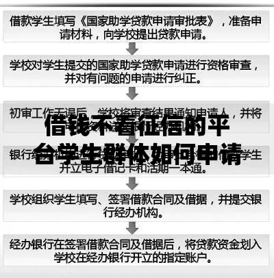 借钱不看征信的平台学生群体如何申请低门槛贷款？