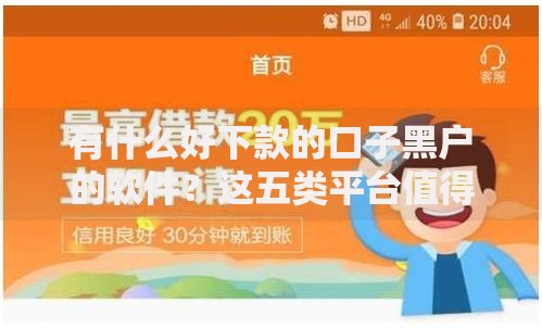 有什么好下款的口子黑户的软件？这五类平台值得关注！