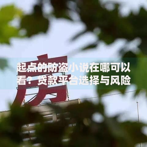 起点的防盗小说在哪可以看？贷款平台选择与风险解析