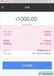 哪个口子半夜能下款？如何快速解决夜间资金需求