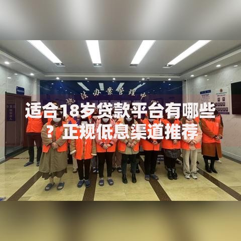适合18岁贷款平台有哪些？正规低息渠道推荐
