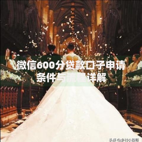 微信600分贷款口子申请条件与流程详解
