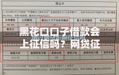 黑花口口子借款会上征信吗？网贷征信影响深度解析