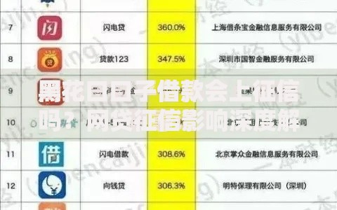 黑花口口子借款会上征信吗？网贷征信影响深度解析