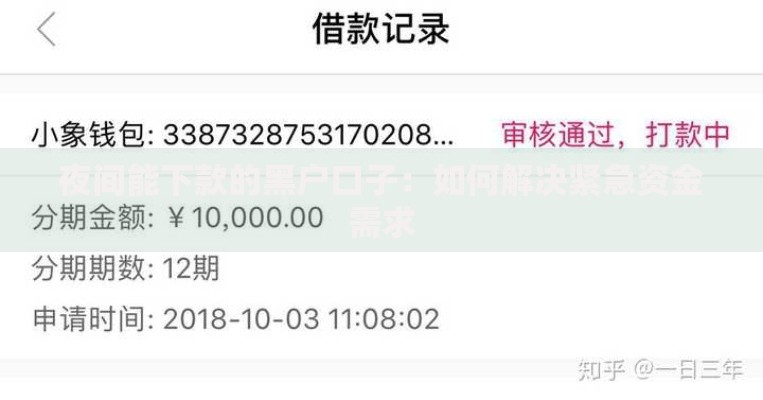 夜间能下款的黑户口子：如何解决紧急资金需求