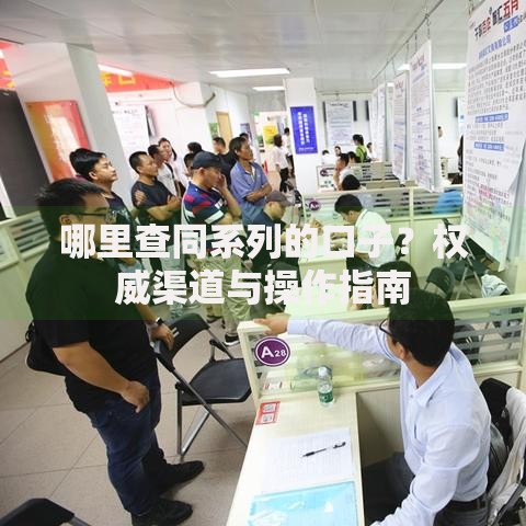 哪里查同系列的口子？权威渠道与操作指南