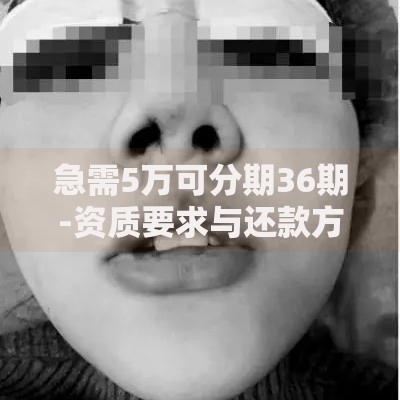 急需5万可分期36期-资质要求与还款方案深度解析