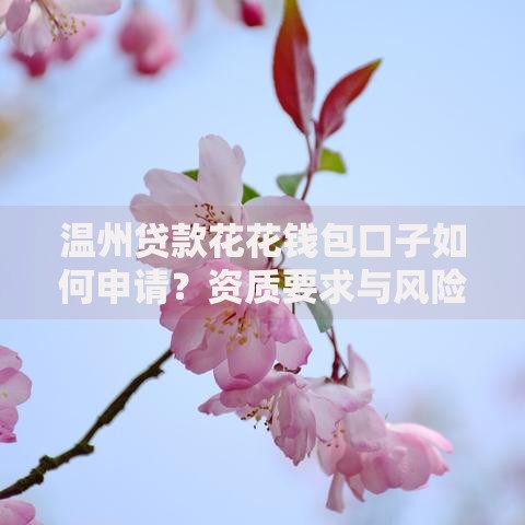 温州贷款花花钱包口子如何申请？资质要求与风险解析