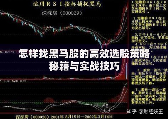 怎样找黑马股的高效选股策略秘籍与实战技巧