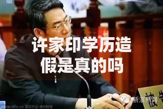 许家印学历造假是真的吗