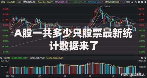 A股一共多少只股票最新统计数据来了