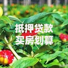 抵押贷款买房划算吗？利弊有哪些？别盲目入手！这几点你一定要搞清楚