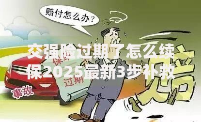 交强险过期了怎么续保2025最新3步补救指南避免双倍罚款扣车风险