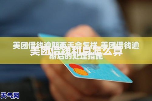 美团借钱利息怎么算