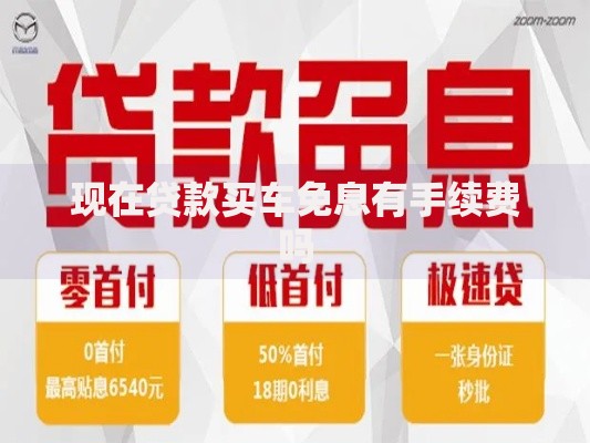 现在贷款买车免息有手续费吗