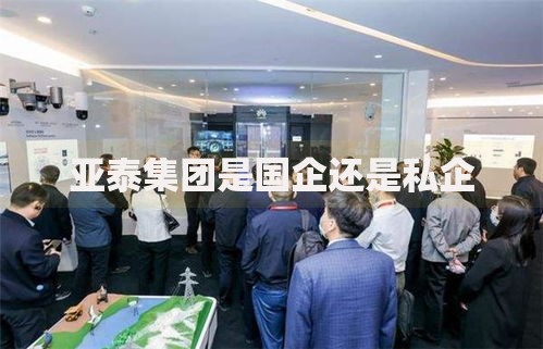 亚泰集团是国企还是私企
