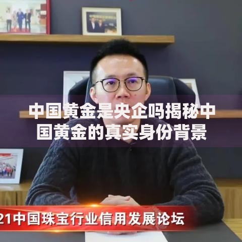 中国黄金是央企吗揭秘中国黄金的真实身份背景