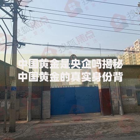 中国黄金是央企吗揭秘中国黄金的真实身份背景