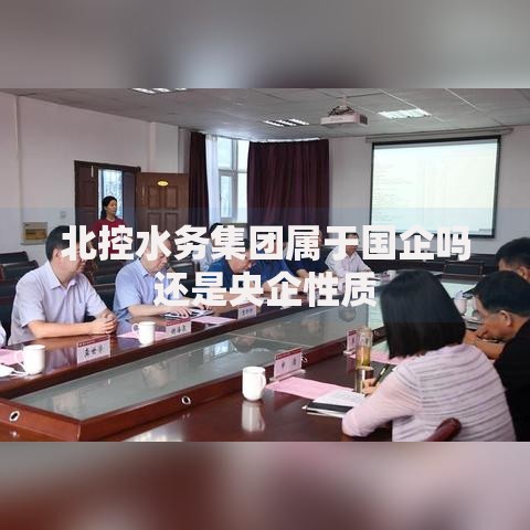 北控水务集团属于国企吗还是央企性质