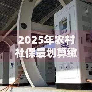 2025年农村社保最划算缴费攻略：省钱技巧